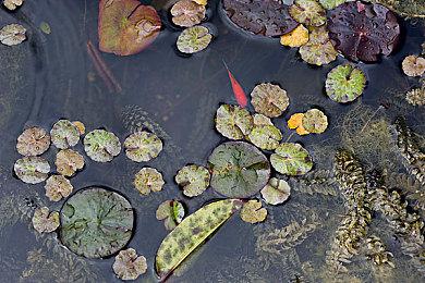 2D锁链游戏《闪避刺客》现已登录Steam与NS平台！全球正式发售！